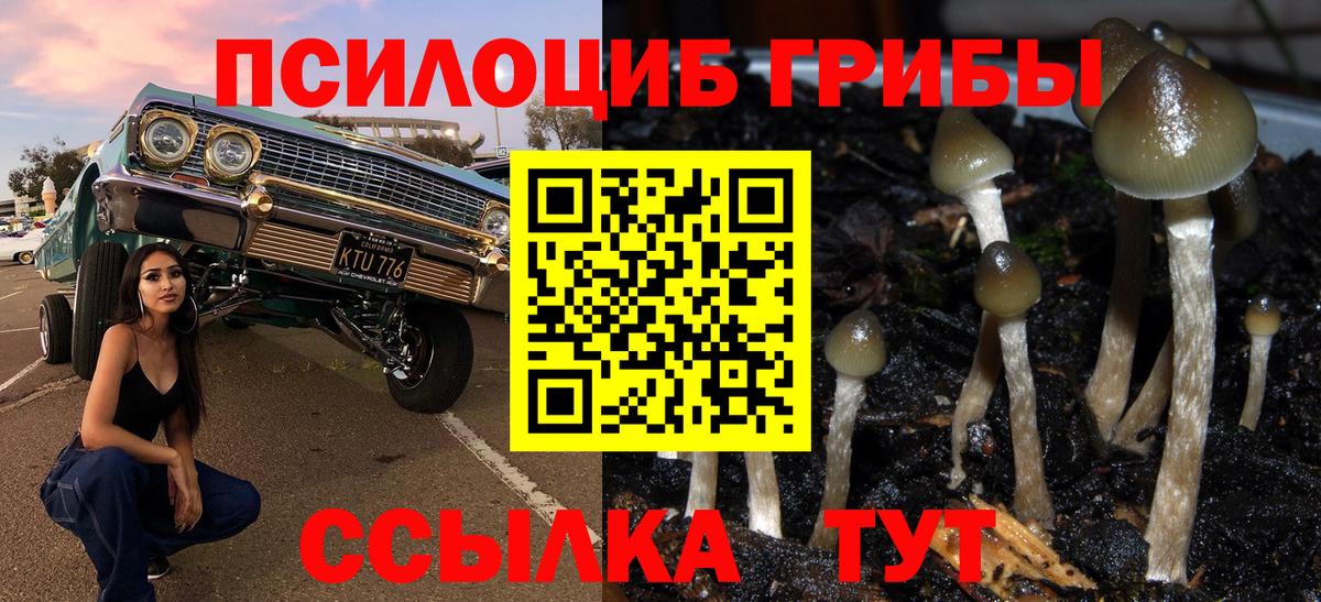 Галлюциногенные грибы Psilocybine cubensis Джанкой