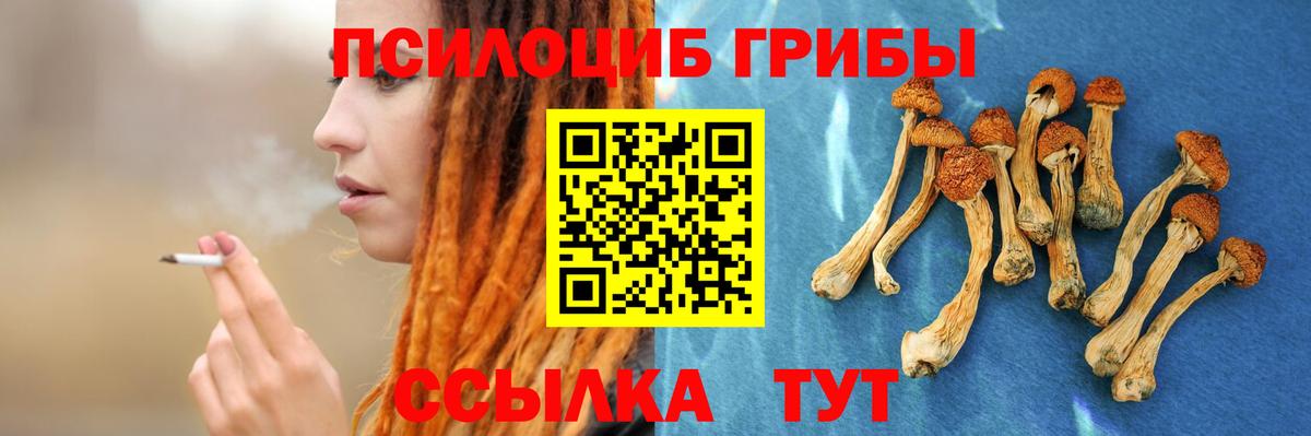 Псилоцибиновые грибы GOLDEN TEACHER  Вход с VPN  Джанкой  Псилоцибиновые грибы Psilocybe 